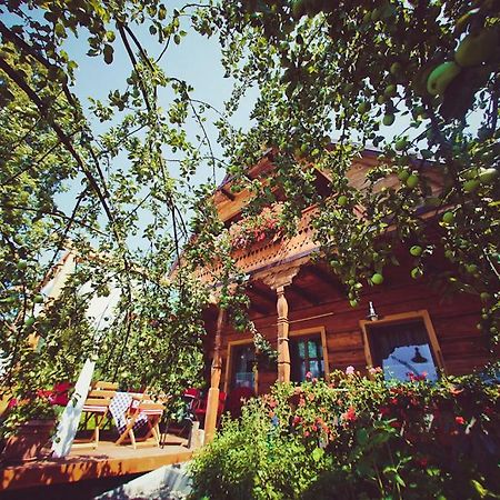 Mietowy Aniol Villa Ustrzyki Dolne Bagian luar foto