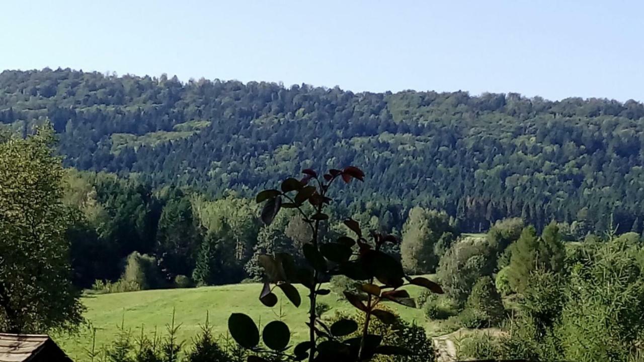 Mietowy Aniol Villa Ustrzyki Dolne Bagian luar foto