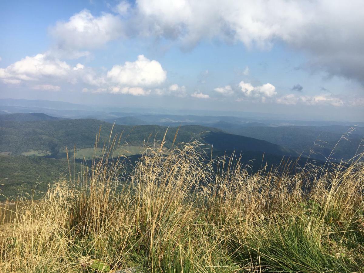 Mietowy Aniol Villa Ustrzyki Dolne Bagian luar foto