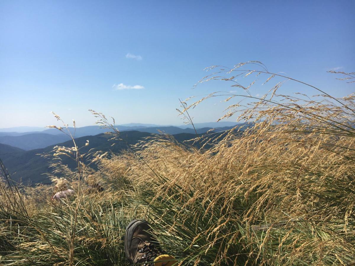 Mietowy Aniol Villa Ustrzyki Dolne Bagian luar foto