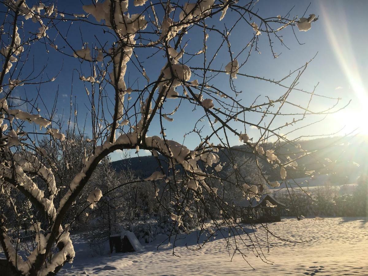Mietowy Aniol Villa Ustrzyki Dolne Bagian luar foto