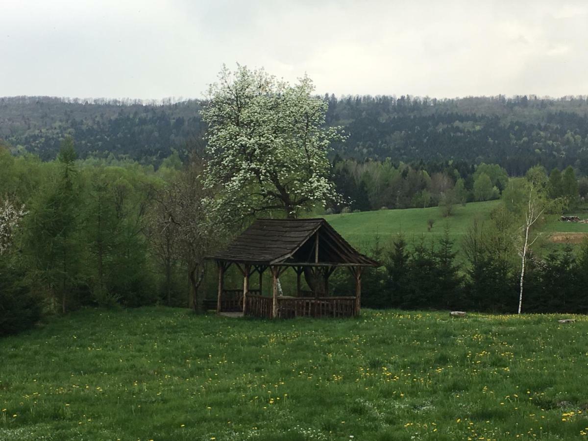 Mietowy Aniol Villa Ustrzyki Dolne Bagian luar foto