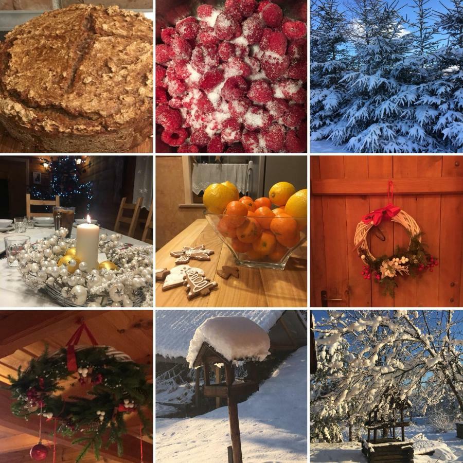 Mietowy Aniol Villa Ustrzyki Dolne Bagian luar foto