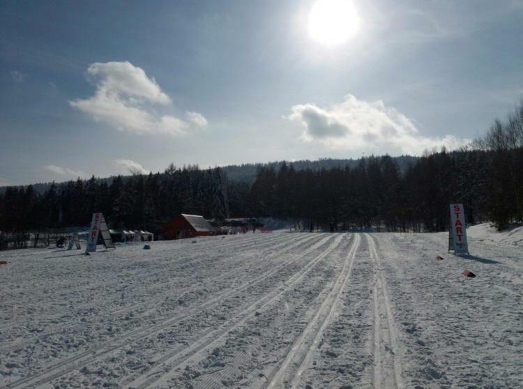 Mietowy Aniol Villa Ustrzyki Dolne Bagian luar foto