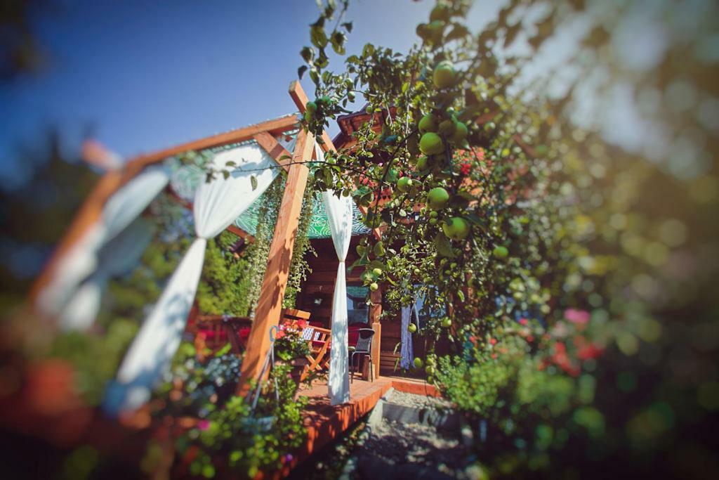 Mietowy Aniol Villa Ustrzyki Dolne Bagian luar foto