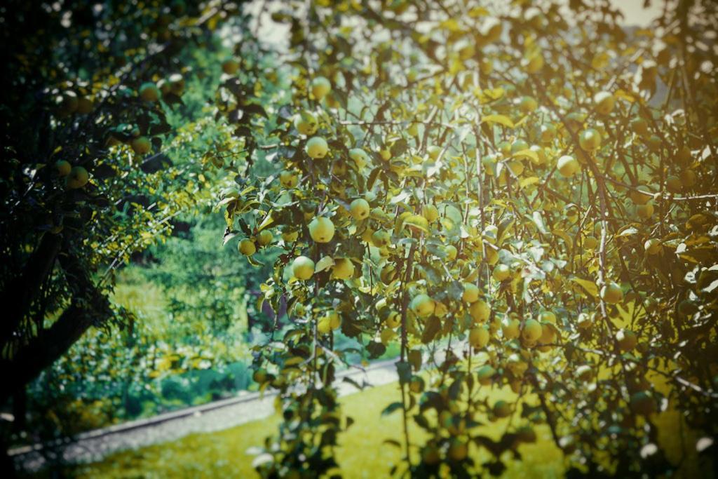 Mietowy Aniol Villa Ustrzyki Dolne Bagian luar foto